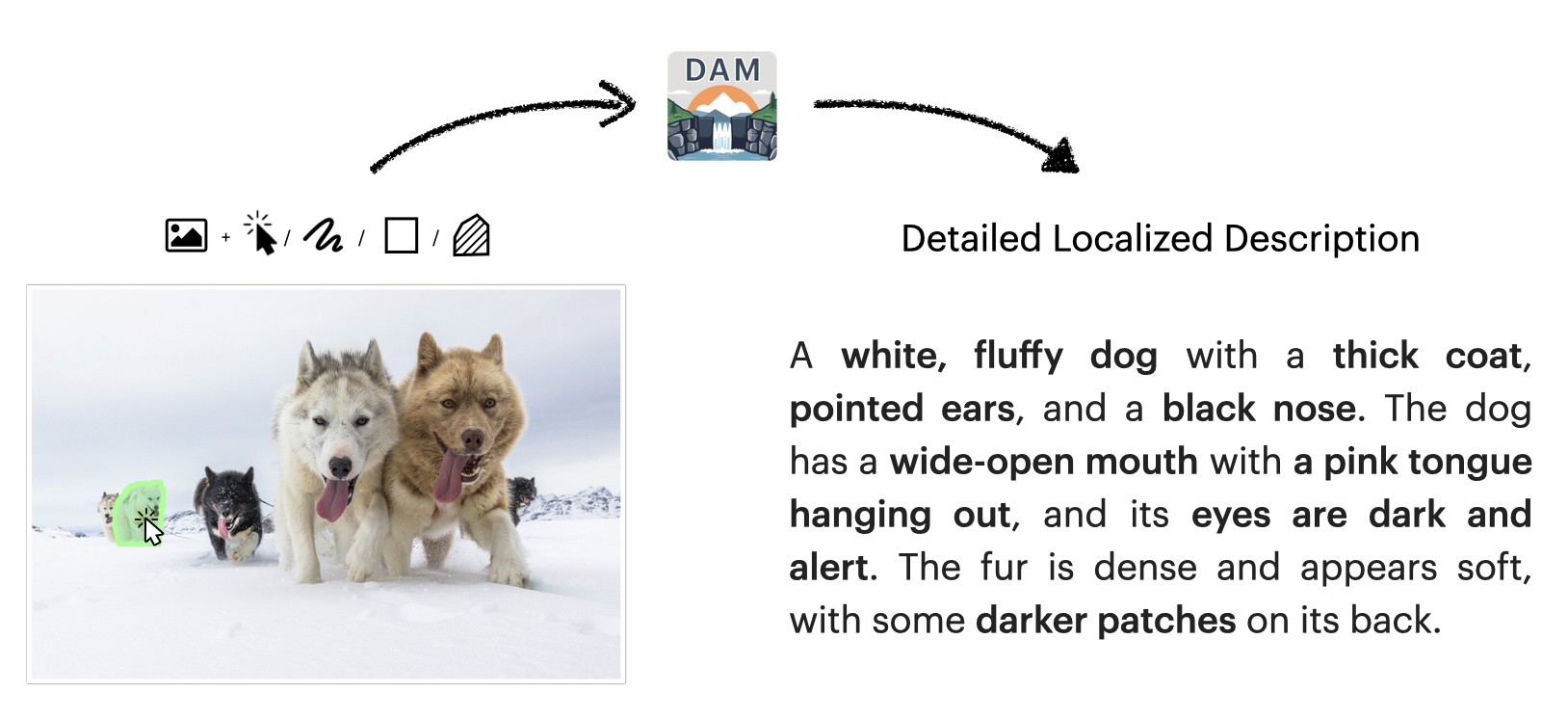 Describe Anything: Detailed Localized Image and Video Captioning