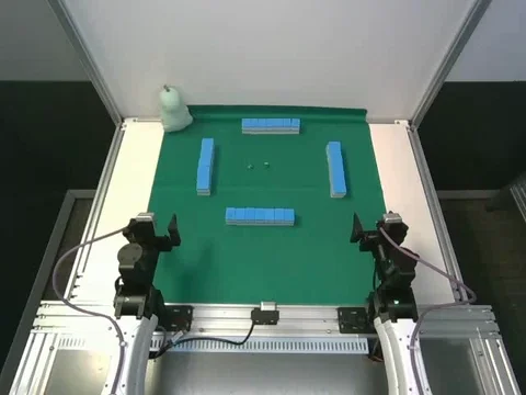 YAM 1 top camera
