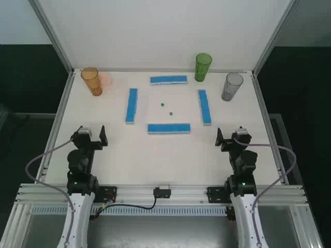 YAM 2 top camera