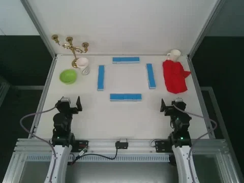 YAM 4 top camera